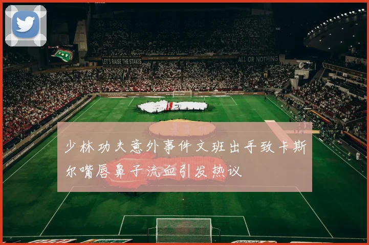少林功夫意外事件文班出手致卡斯尔嘴唇鼻子流血引发热议