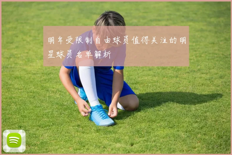 明年受限制自由球员值得关注的明星球员名单解析